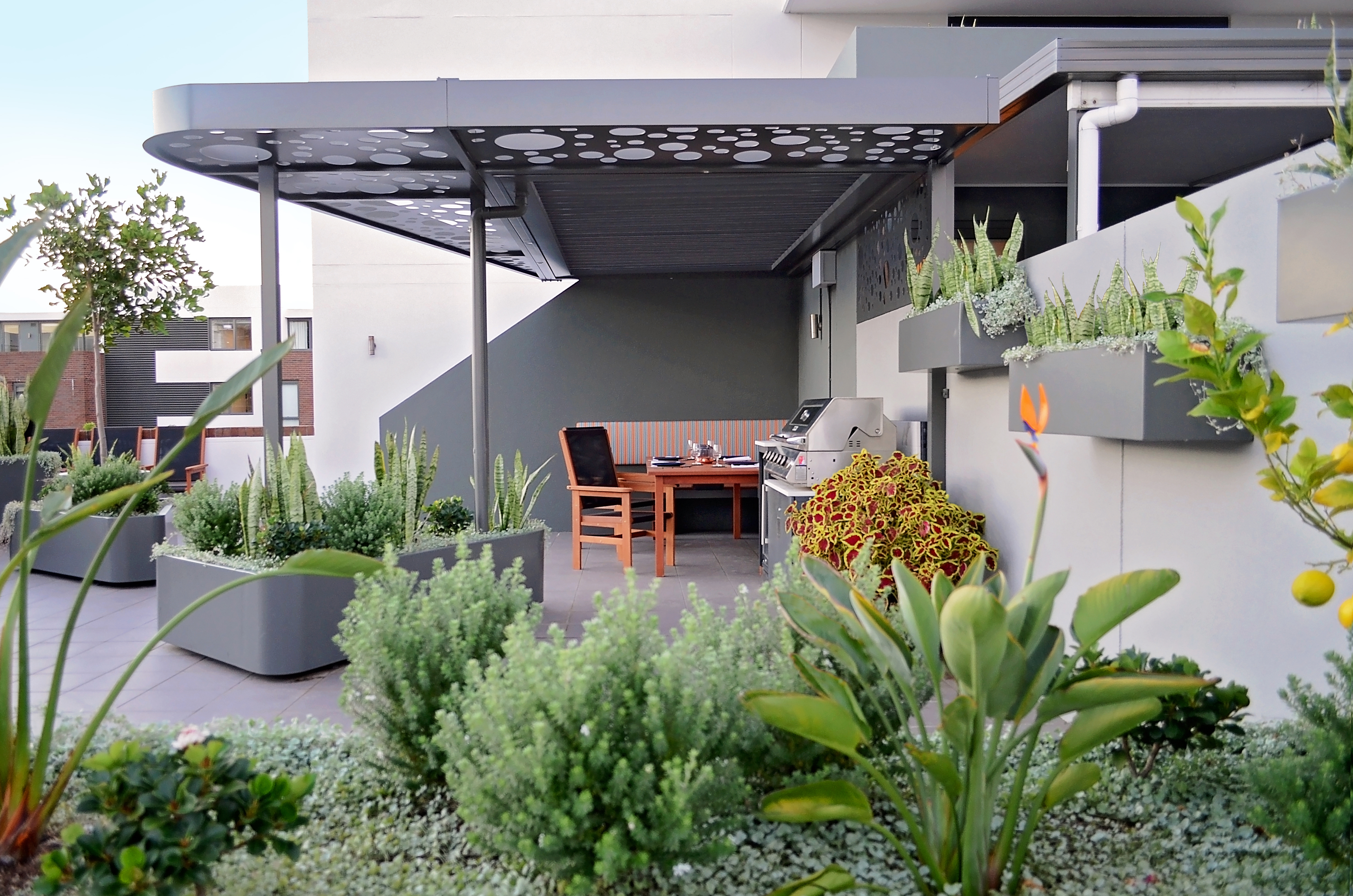 Rooftop Garden Perfection | OUTHOUSE design